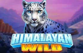 Himalayan Wild - Pragmatic play